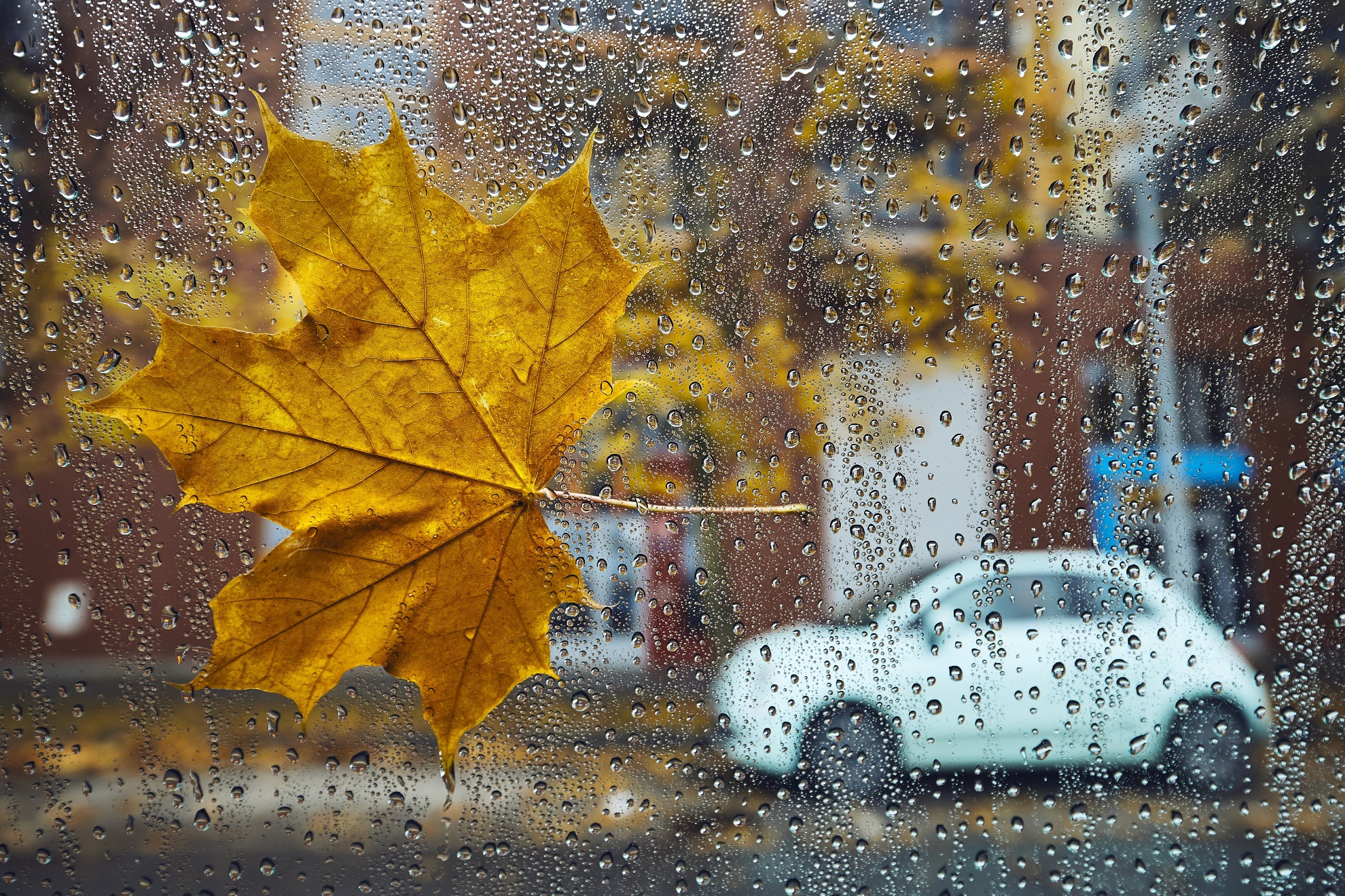 Préparer son véhicule pour la saison hivernale